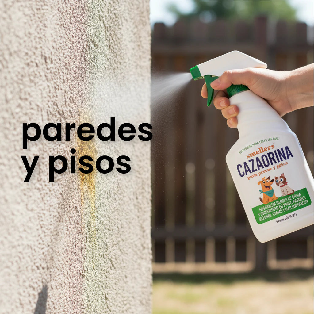 CAZAORINAS