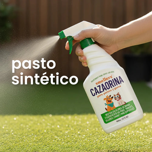 CAZAORINAS